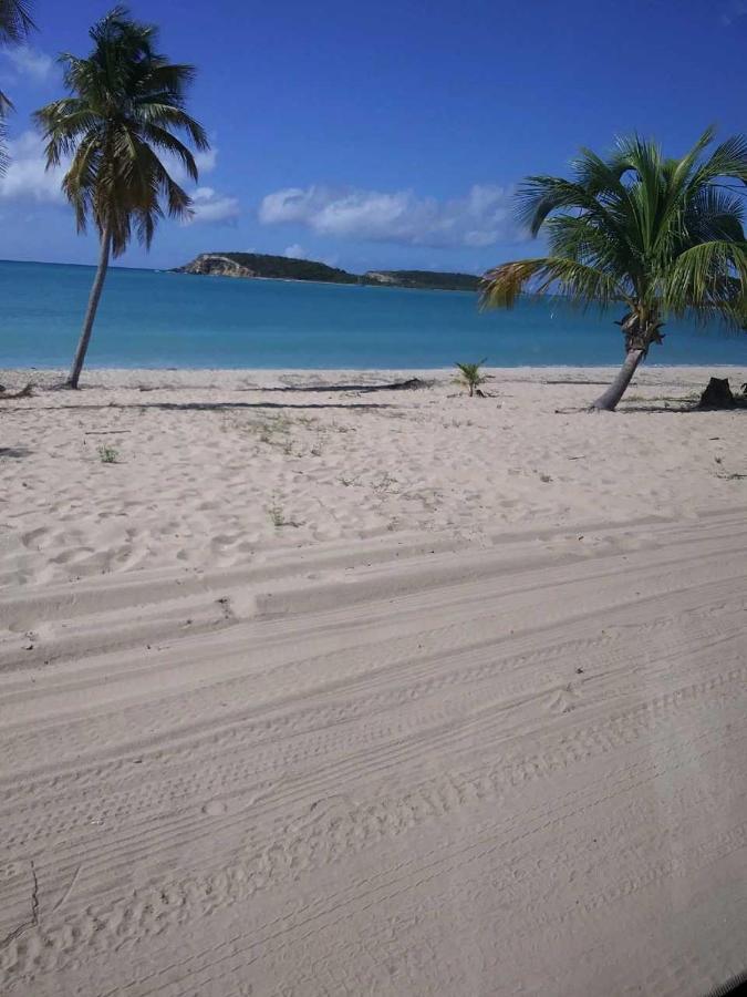 Crab Island Adventures Apartments Vieques Exteriör bild