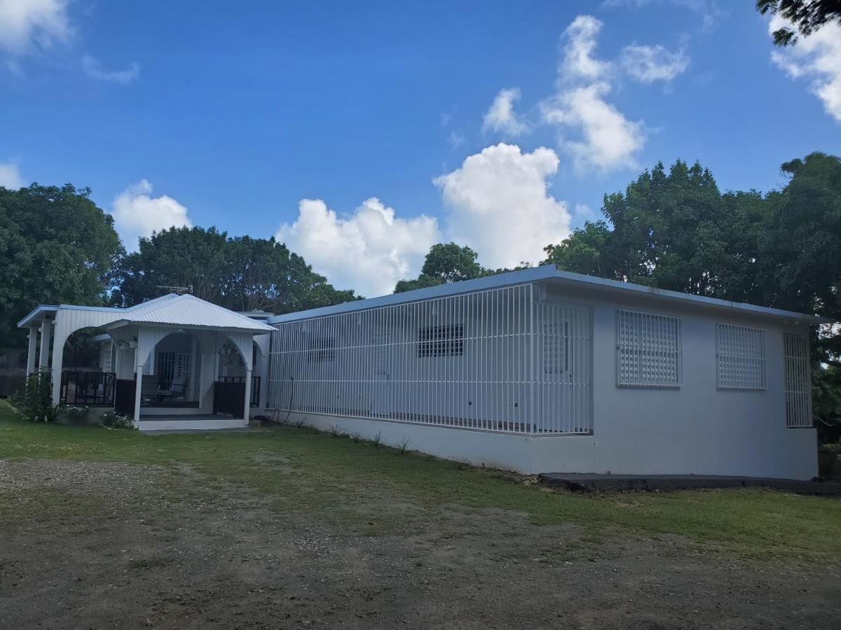 Crab Island Adventures Apartments Vieques Exteriör bild